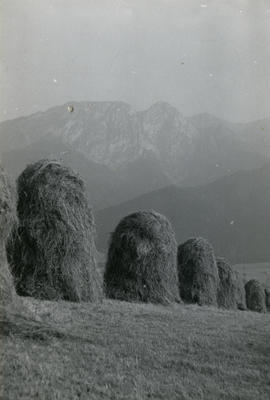 Tatry