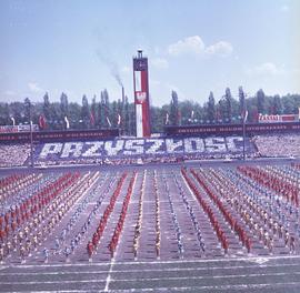 Pokaz gimnastyczny