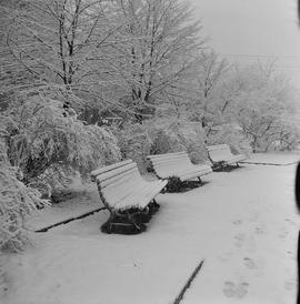 park zimową porą
