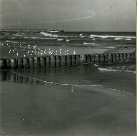 Plaża w Kołobrzegu