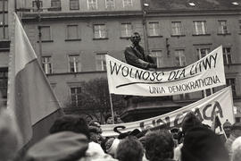 Uznać niepodległość Litwy