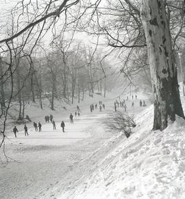 Zabawa na zamarzniętej fosie miejskiej przy ul. Podwale we Wrocławiu