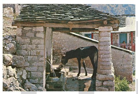 Original Obiekt cyfrowy not accessible