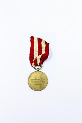 Medal Zwycięstwa i Wolności