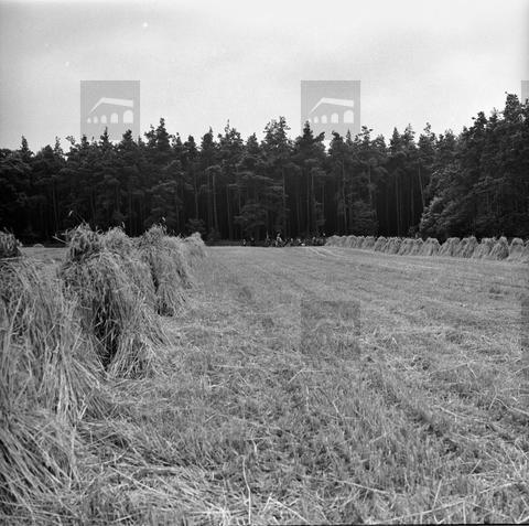 Original Obxecto dixital not accessible