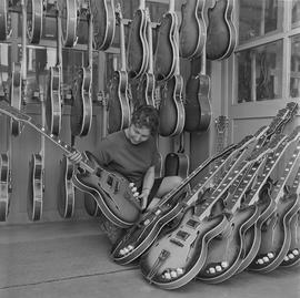 Dolnośląska Fabryka Instrumentów Lutniczych