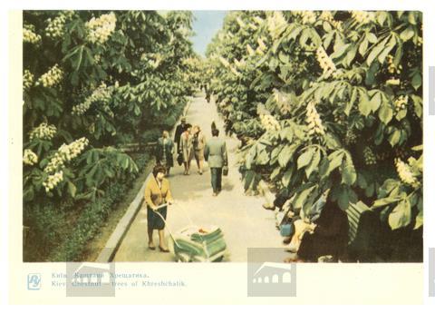 Original Obiekt cyfrowy not accessible